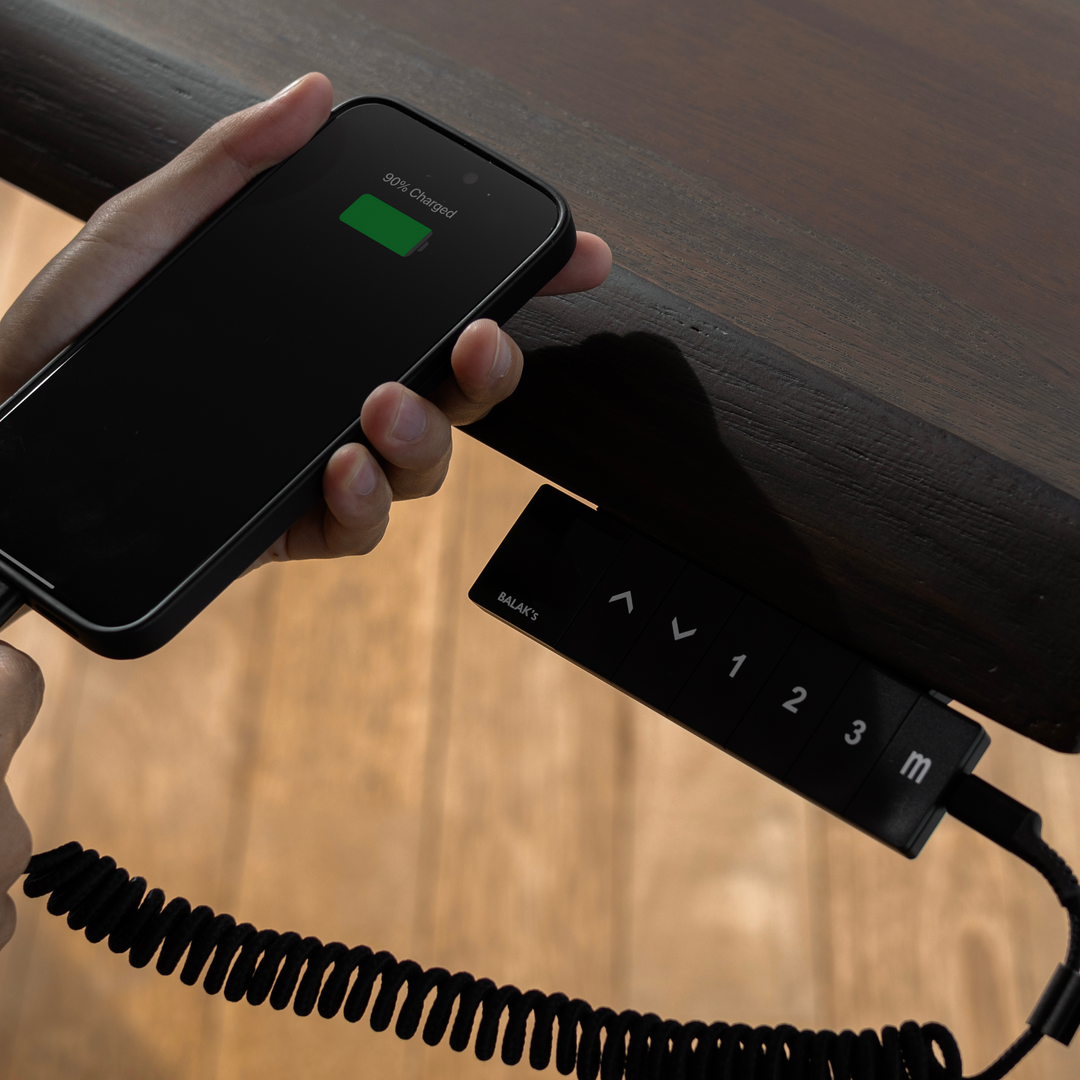 BALAK’s Malaysia | Ergonomic Solid Wood Adjustable Standing Desk ...