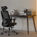 Lumi Ergonomic Chair