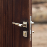 Fusion Door