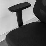 Lumi Ergonomic Chair