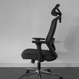 Lumi Ergonomic Chair