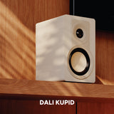 DALI Kupid